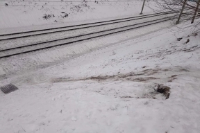 В Кузбассе родителей оштрафовали после опасных игр детей