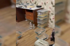 В Ломоносовском районе ликвидировали подпольную нарколабораторию на даче