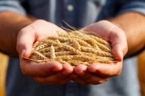 В Иркутской области взаимодействие с Россельхозцентром позволило аграриям достичь выдающихся результатов