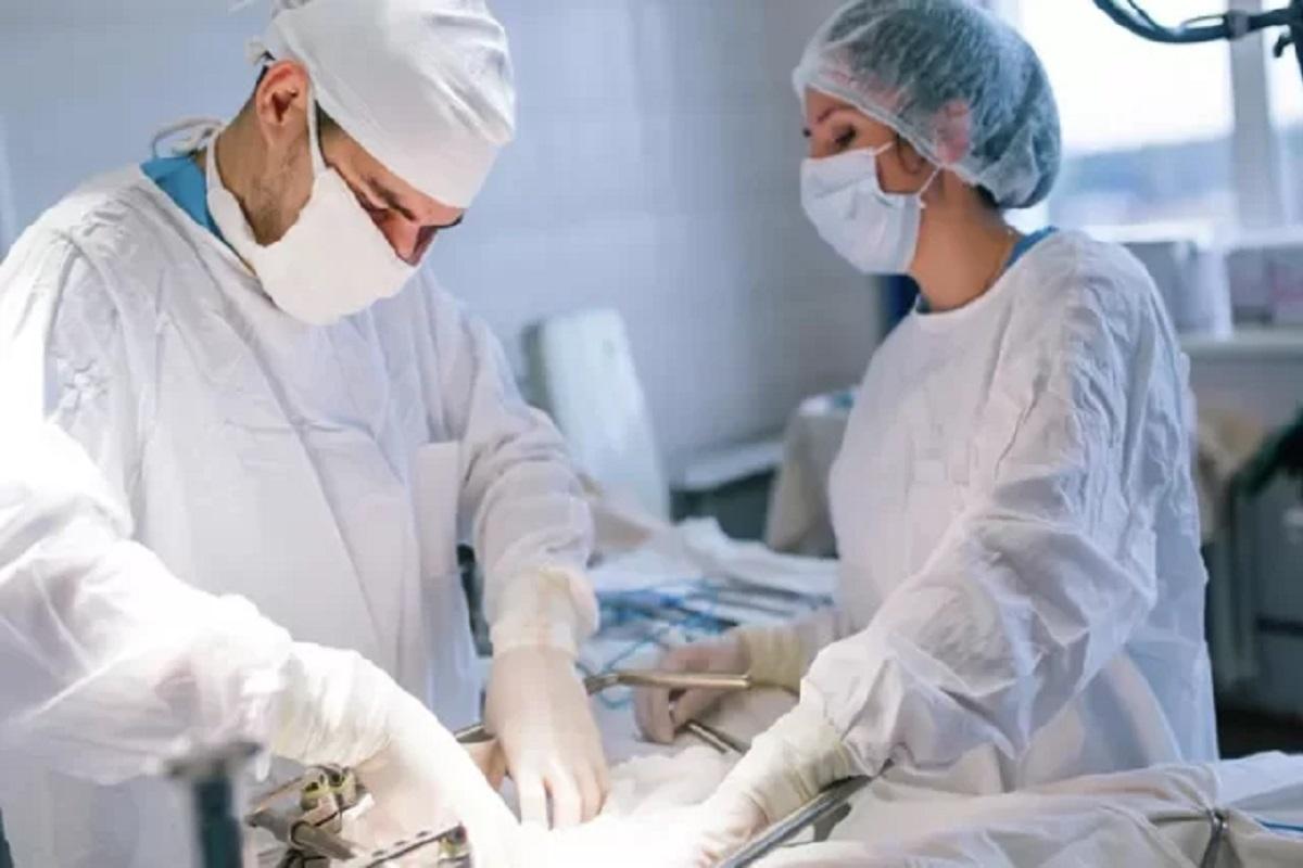 Американский стартап R3 Bio планирует заменить подопытных животных биосистемами