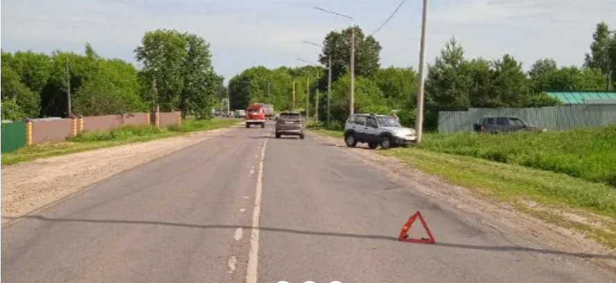 В Тульской области на трассе сбили 12-летнюю девочку