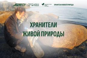 От Белого моря до Курил: новый медиапроект «Хранители живой природы» покажет истинное богатство России через истории активистов