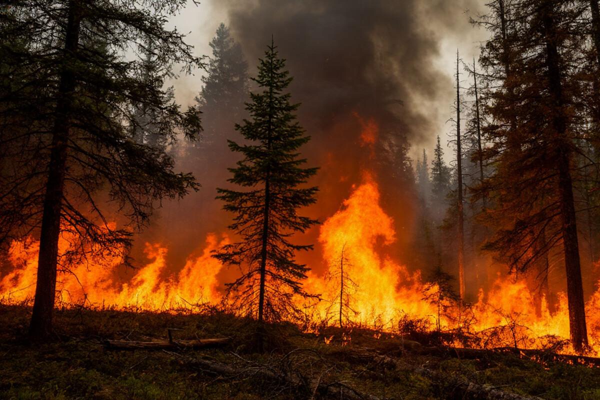 В Марий Эл участились лесные пожары