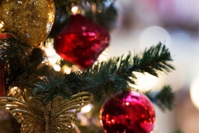 Germany fined a gardener for putting up a Christmas tree outside a kindergarten