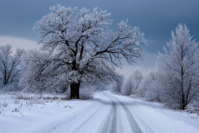 Стало известно, действительно ли омичей ждет экстремальная зима