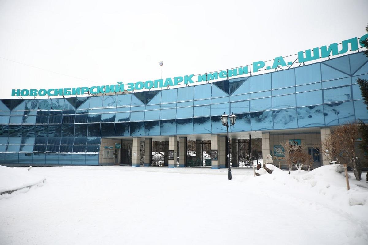 Мэр Максим Кудрявцев: Новосибирский зоопарк расширяется, новые павильоны откроются в 2026 году