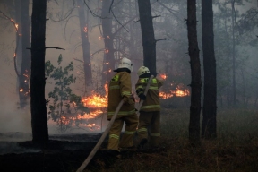 Пожар в ЛНР не могут потушить вторые сутки