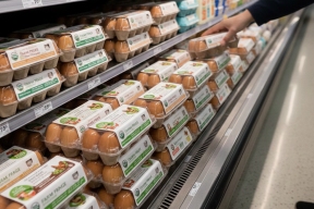 Пензенская область нарастила производство яиц и снизила цены на продукцию более чем на треть