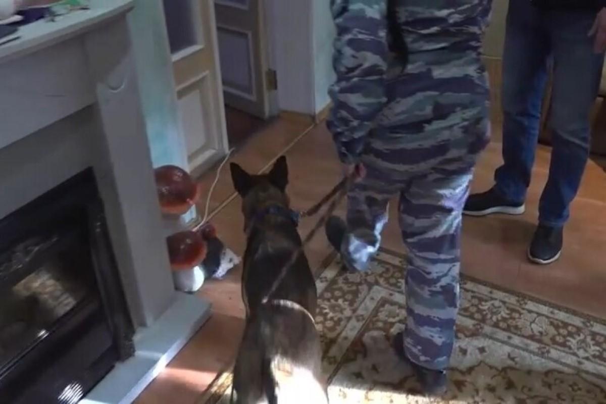 Полицейские Петербурга провели рейды у цыган