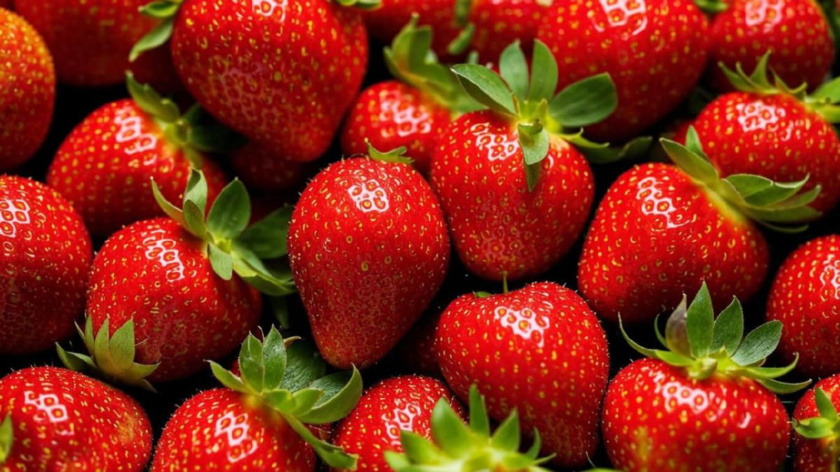 В подмосковном Минсельхозпроде поделились рекомендациями по выбору спелой клубники