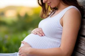 Плюс 50% за четыре года: рынок ЭКО в России бьет рекорды