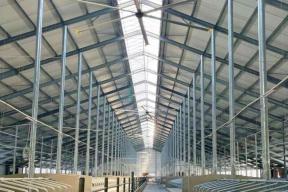 Миллиарды в молоко: под Клином открыли гигантскую ферму, которая даст 9,6 тысячи тонн продукции в год