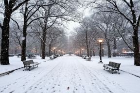 Петербург готовится к снежным испытаниям: синоптик Колесов предвещает обильные осадки