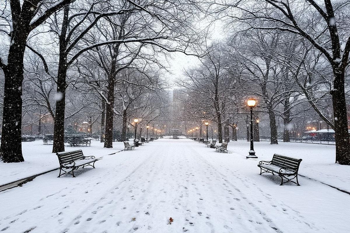 Петербург готовится к снежным испытаниям: синоптик Колесов предвещает обильные осадки