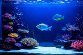 Ученые нашли неочевидный способ борьбы со стрессом от постоянного шума