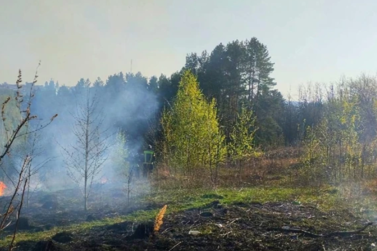 В Смоленской области уже зафиксировано 506 пожаров, уничтоживших 2269 гектаров земель