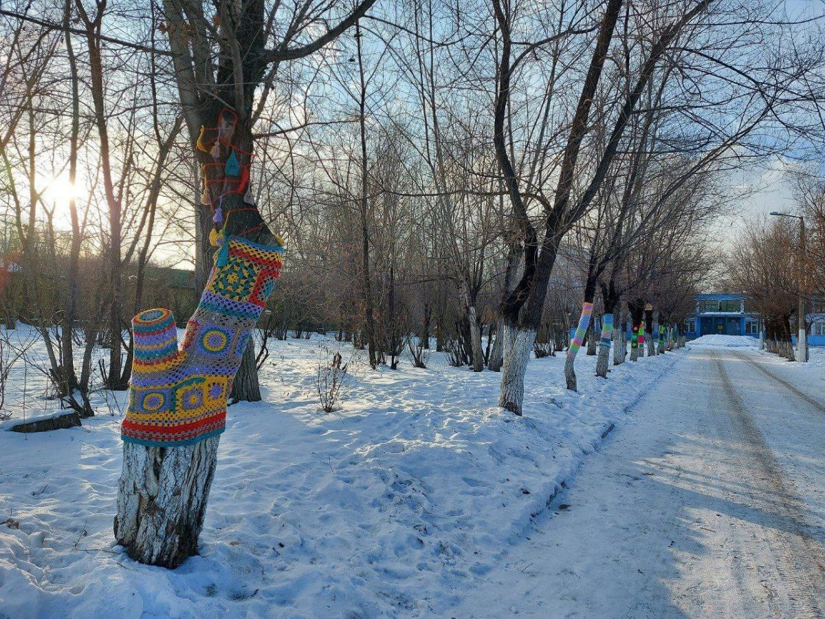 Краноярские школьники приодели деревья в вязаные свитера