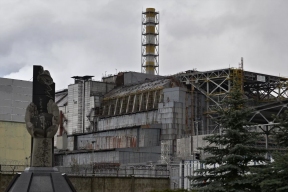 В Чернобыле обнаружили гриб, который питается радиацией