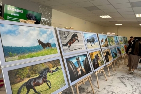 Специалисты со всей России стали участниками круглого стола по коневодству в Черкесске