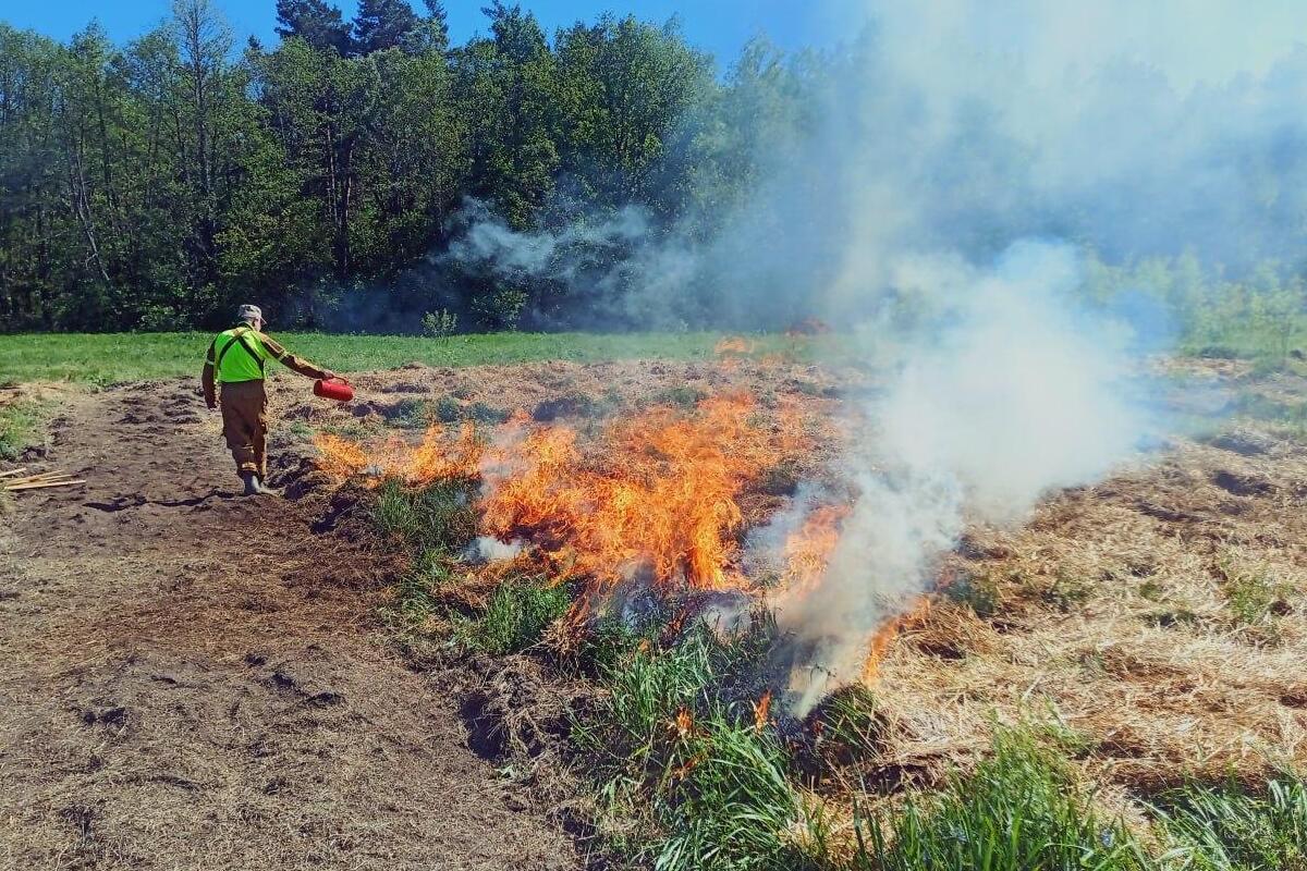 В Приморье за выходные потушили десять пожаров, охвативших 200 гектаров