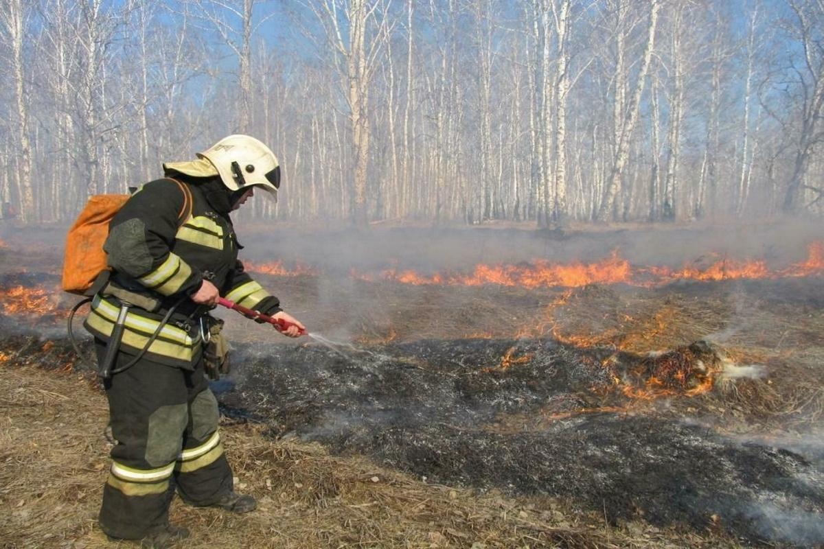 Природные пожары уже разгораются: у воронежских спасателей начинается горячая пора