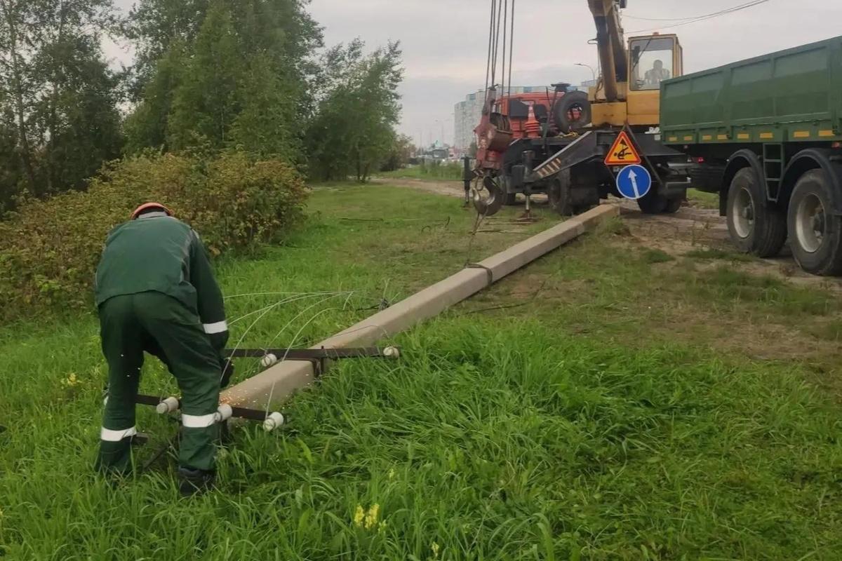 В сургутском парке Геологов наводят порядок: уберут 20 заброшенных столбов, портивших вид