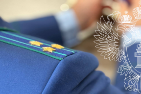 В Йошкар-Оле сошедший с крыши снег травмировал мужчину и двоих детей