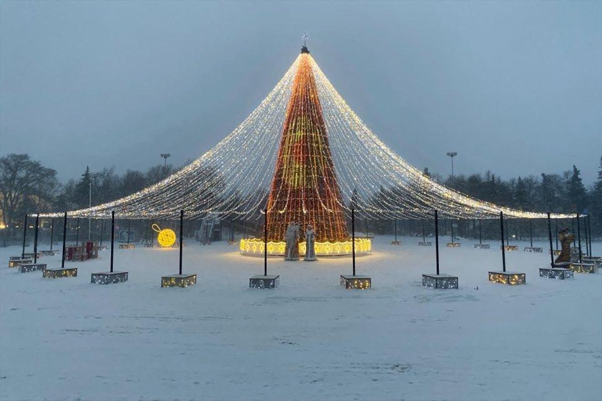 Главную городскую елку на Соборной площади Ульяновска официально откроют 28 декабря