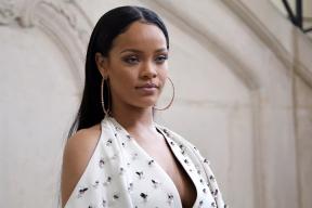 «Она целилась в дом»: фанатка открыла стрельбу по особняку Рианны в Беверли-Хиллз