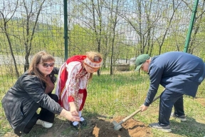 В Чите в День города на территории сквера «Гагаринский» высадили саженцы вишни