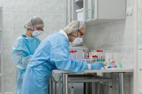 В Свердловской области ввели карантин из-за пастереллеза у коров