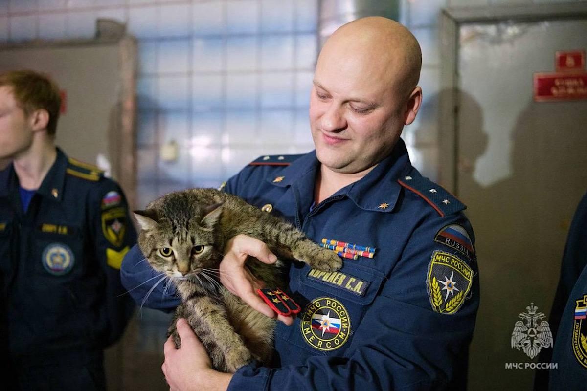 Кот-прапорщик Толик из Москвы прославился на весь мир, войдя в число лауреатов премии «Мой ласковый и нужный зверь»