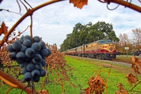 Летом в Севастополе появится «винный поезд»