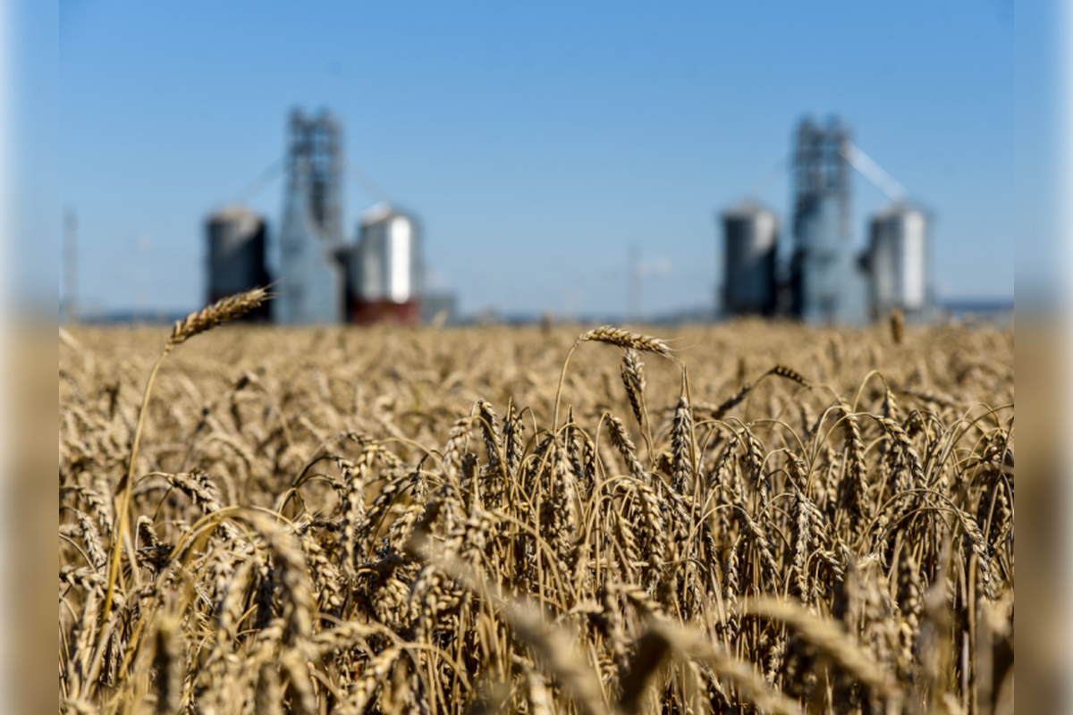 Аграрии из Северной Осетии завершают сев яровых культур