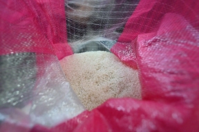 Глава Адыгеи Мурат Кумпилов: Урожайность риса в республике превышает средние многолетние значения