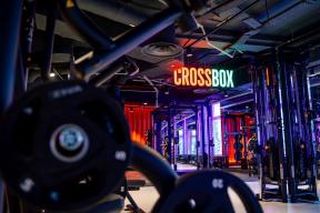 Силовые тренировки для новичков: с чего начать и как избежать травм