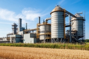 По итогам урожая 2025 года Новосибирская область сможет продать за пределы региона более 1 млн тонн зерна