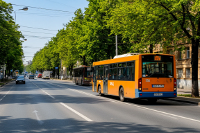 Регионы самостоятельно решат, какие автобусы пускать на выделенные полосы