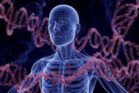 Прорыв в генетике: в России создали первый набор для расшифровки всех генов человека