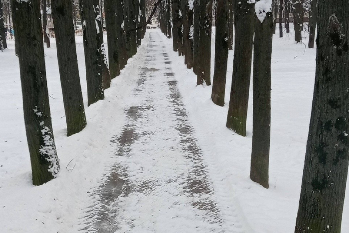 В Домодедове на уборку улиц вышли 88 единиц техники