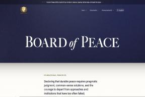 «Совет мира» по Газе теперь имеет свой сайт