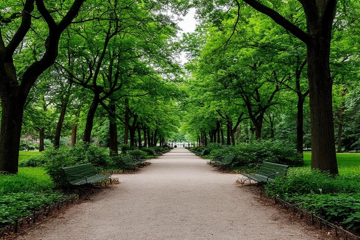 «Зелёный пояс» Петербурга: долгожданная реальность или очередная отсрочка?