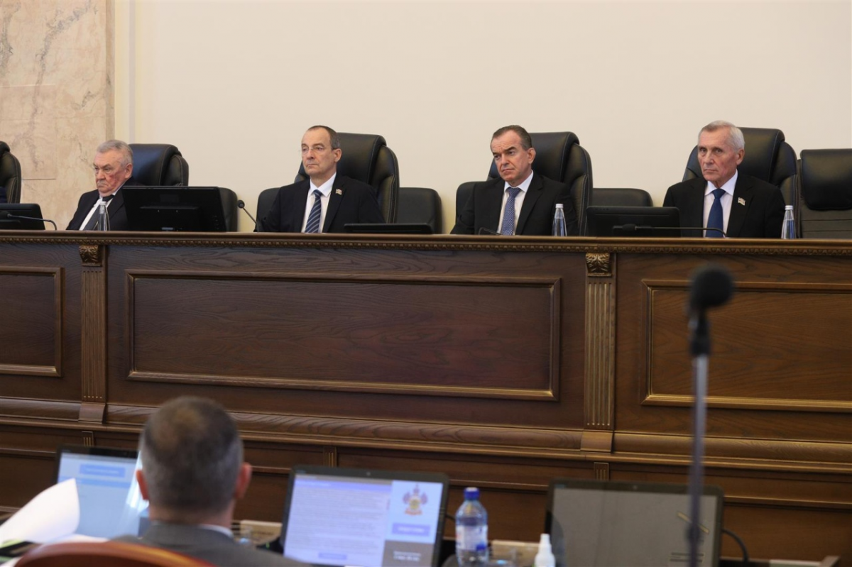 Депутаты ЗСК рассмотрели законопроект о дополнительных мерах по защите материнства и детства