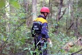 В Новгородской области нашли всех потерявшихся за сутки в лесах граждан