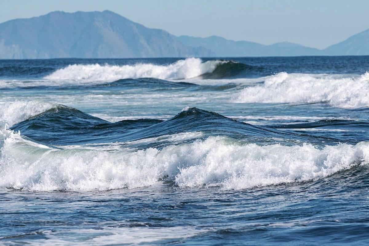 У берегов Британской Колумбии зафиксировали «волну-убийцу» высотой 17,6 метра