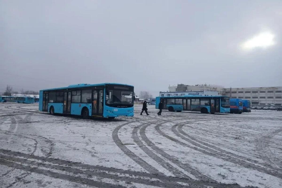 Автобусный парк Петербурга прошел проверку на морозоустойчивость