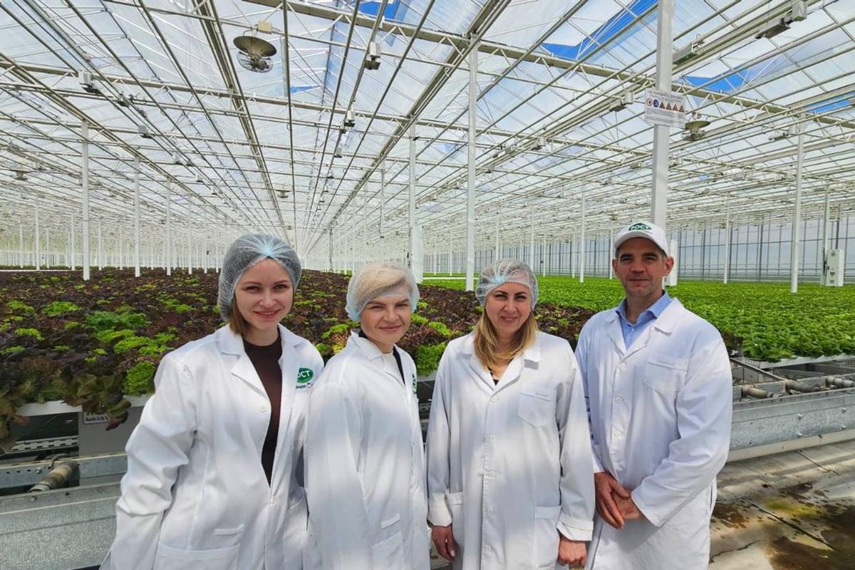 Липецкие аграрии собрали рекордные 63 тысячи тонн тепличных овощей