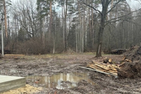 Прокуратура добилась возврата земли Сосновой рощи в муниципальную собственность