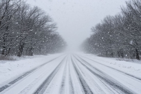 Самарским охотникам предлагают поучаствовать в отстреле лис за определенную плату