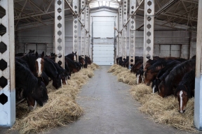 В Ивановской области определены проекты по комплексному развитию сельских территорий в 2026 г.